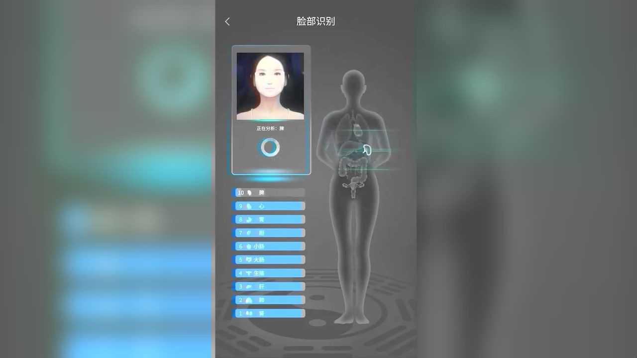 经脉宝